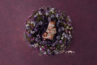 Galerie/Newborn (4)
