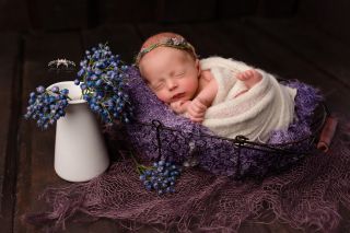 Galerie/Newborn (75)