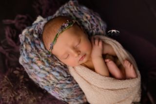 Galerie/Newborn (81)