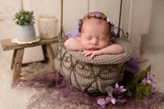 Galerie/Newborn (100)