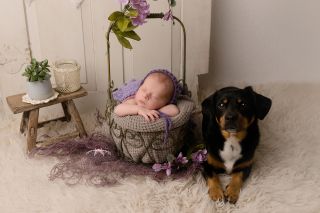 Galerie/Newborn (105)