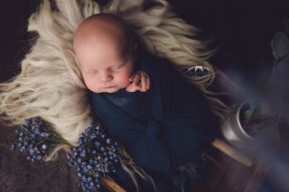 Galerie/Newborn (106)