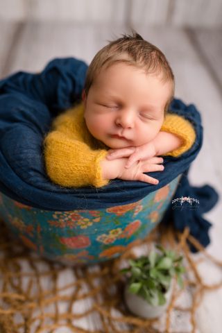 Galerie/Newborn (125)