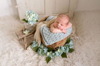 Galerie/Newborn (132)