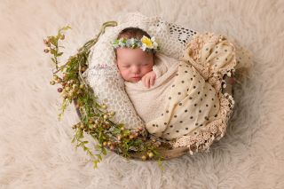 Galerie/Newborn (145)