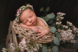 Galerie/Newborn (153)