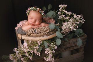 Galerie/Newborn (154)