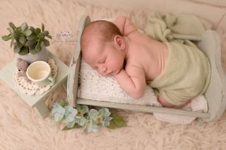 Galerie/Newborn (198)