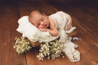 Galerie/Newborn (231)