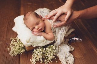 Galerie/Newborn (233)