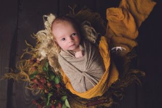 Galerie/Newborn (239)