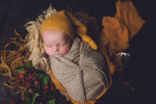 Galerie/Newborn (240)