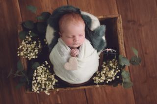 Galerie/Newborn (241)