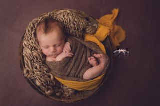 Galerie/Newborn (244)