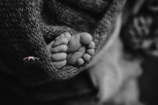 Galerie/Newborn (246)