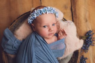 Galerie/Newborn (252)