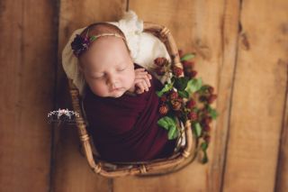 Galerie/Newborn (255)