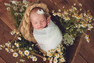 Galerie/Newborn (256)