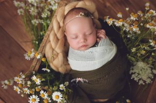 Galerie/Newborn (257)