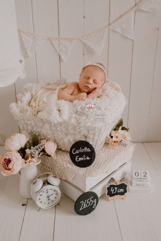 Galerie/Newborn (259)