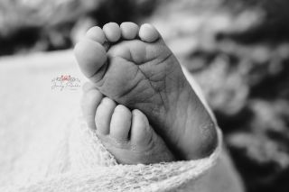 Galerie/Newborn (261)