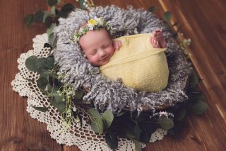 Galerie/Newborn (262)