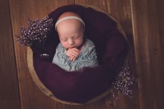 Galerie/Newborn (264)