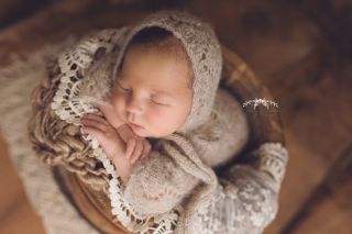 Galerie/Newborn (273)