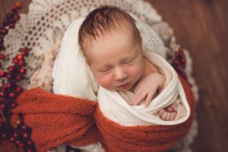 Galerie/Newborn (278)