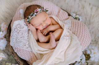 Galerie/Newborn (289)