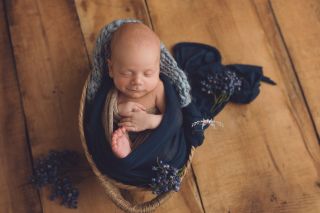 Galerie/Newborn (290)