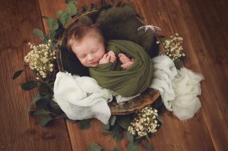 Galerie/Newborn (291)