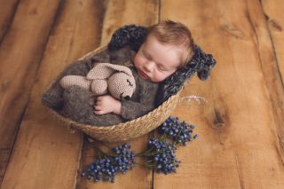Galerie/Newborn (295)