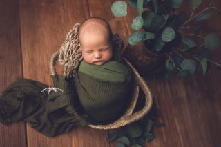 Galerie/Newborn (305)