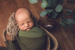 Galerie/Newborn (307)