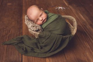 Galerie/Newborn (310)
