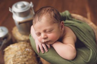 Galerie/Newborn (312)