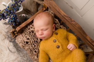 Galerie/Newborn (322)
