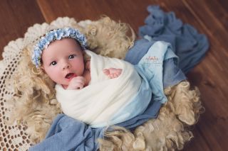 Galerie/Newborn (339)