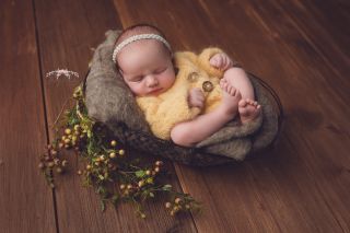 Galerie/Newborn (340)