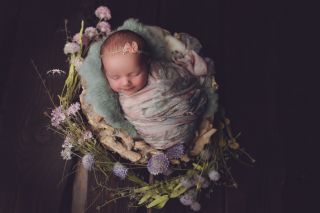 Galerie/Newborn (341)