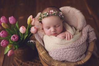 Galerie/Newborn (343)