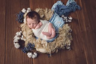 Galerie/Newborn (345)