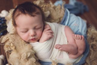 Galerie/Newborn (346)