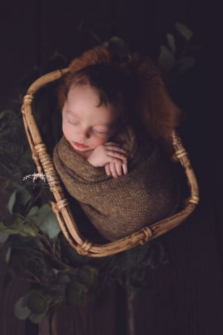 Galerie/Newborn (352)