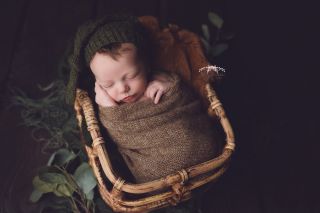 Galerie/Newborn (354)
