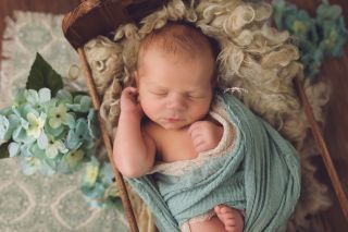 Galerie/Newborn (356)