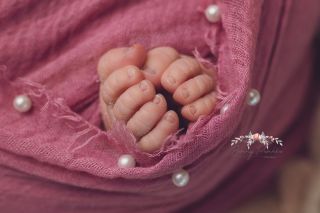 Galerie/Newborn (365)