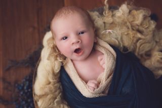 Galerie/Newborn (378)