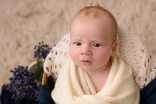 Galerie/Newborn (384)